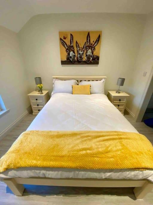 Modern Family Home Castleisland Ngoại thất bức ảnh