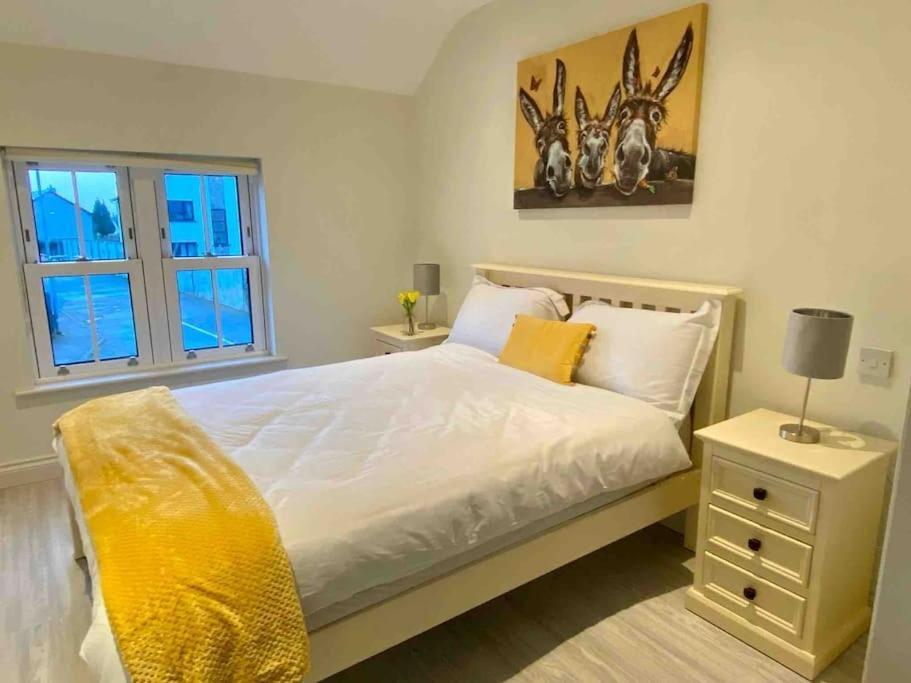 Modern Family Home Castleisland Ngoại thất bức ảnh